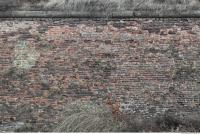 photo texture of wall brick overgrown 0005